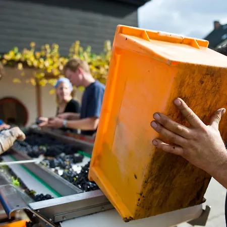 Weingut Sonnenberg Apartmán