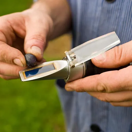 Weingut Sonnenberg *