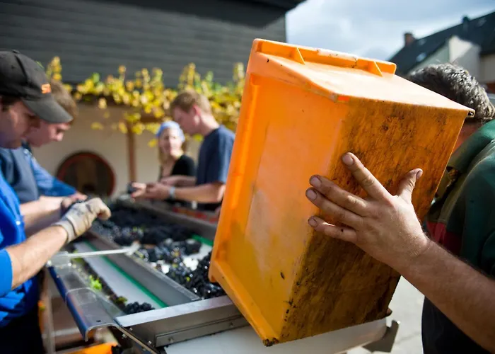 Weingut Sonnenberg Apartamento