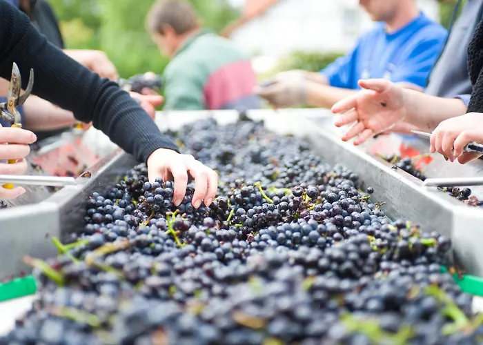 アパート Weingut Sonnenberg *