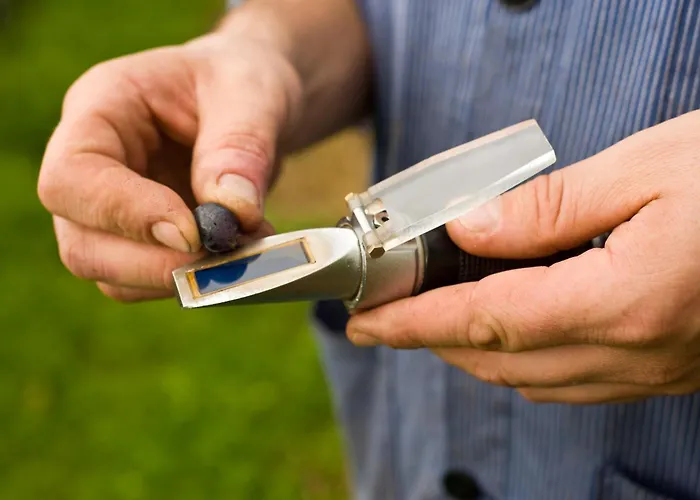 Weingut Sonnenberg *